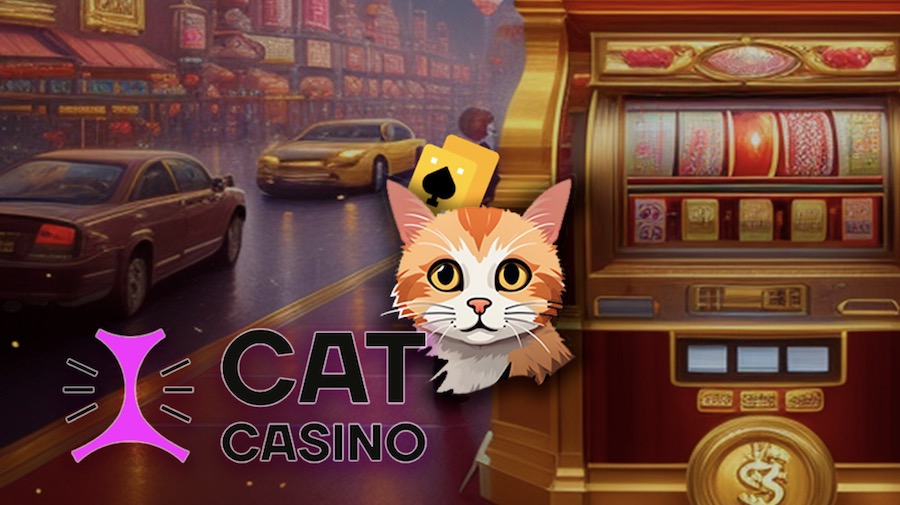 cat casino reg